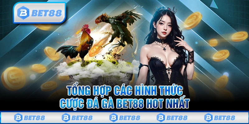 Đá Gà Bet88 - Đấu Trường Đẳng Cấp Uy Tín Và Minh Bạch Số 1
